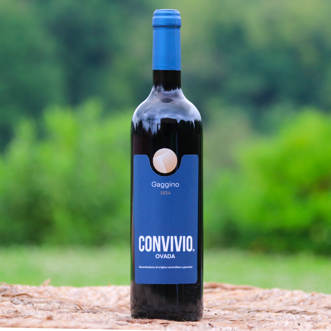 Convivio Ovada DOCG – 2022