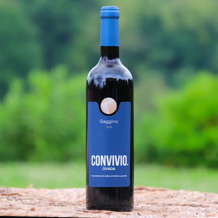 Convivio Ovada DOCG – 2022
