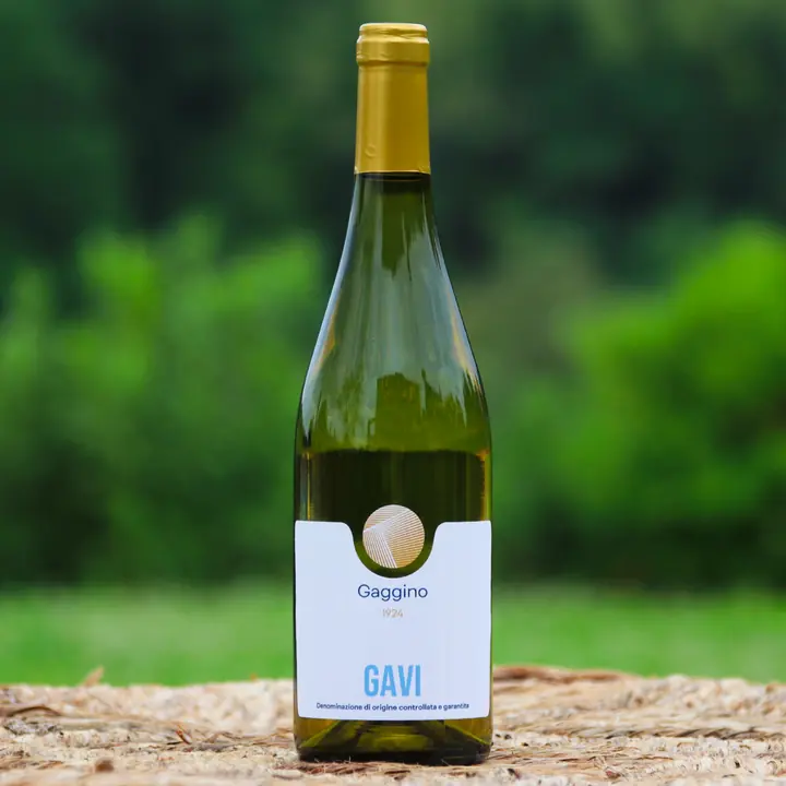 Gavi DOCG – 2025