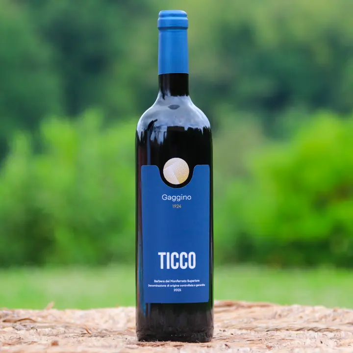 Ticco Barbera del Monferrato Superiore DOCG – 2022